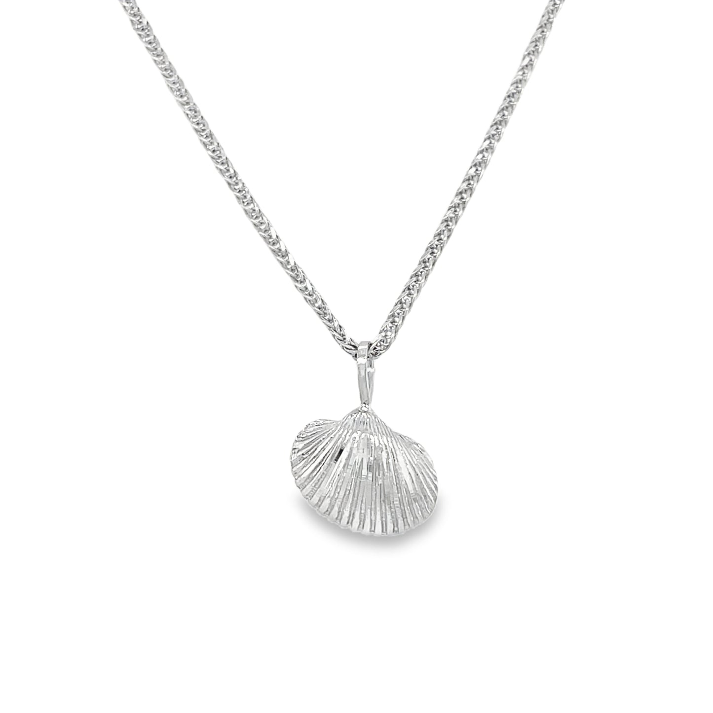 Jai's 14K White Gold Shell Pendant