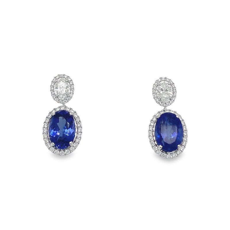 Jai's 14K White Gold Oval Tanzanite & Diamond-lined Drop Earrings