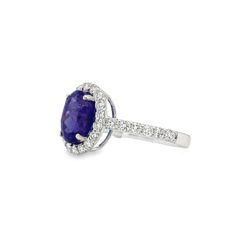 Jai's 14K White Gold Oval Tanzanite & Diamond-lined Ring