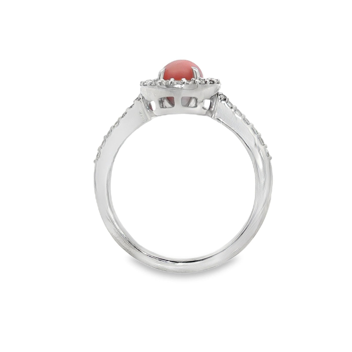 Jai's 14K White Gold Conch Pearl & Diamond Ring