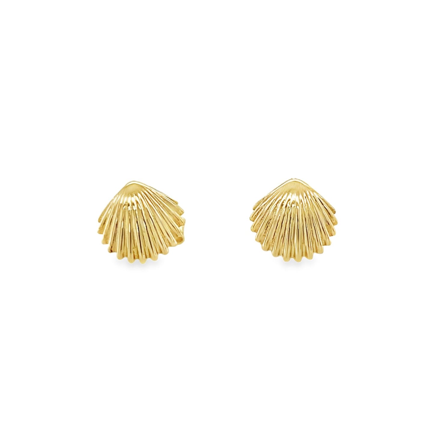 Jai's 14K Yellow Gold Seashell Studs