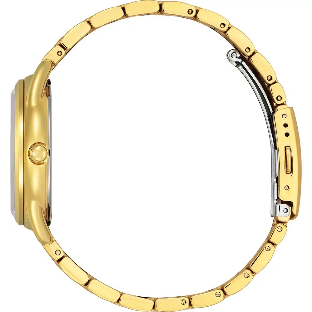 Citizen's Corso with Black Dial