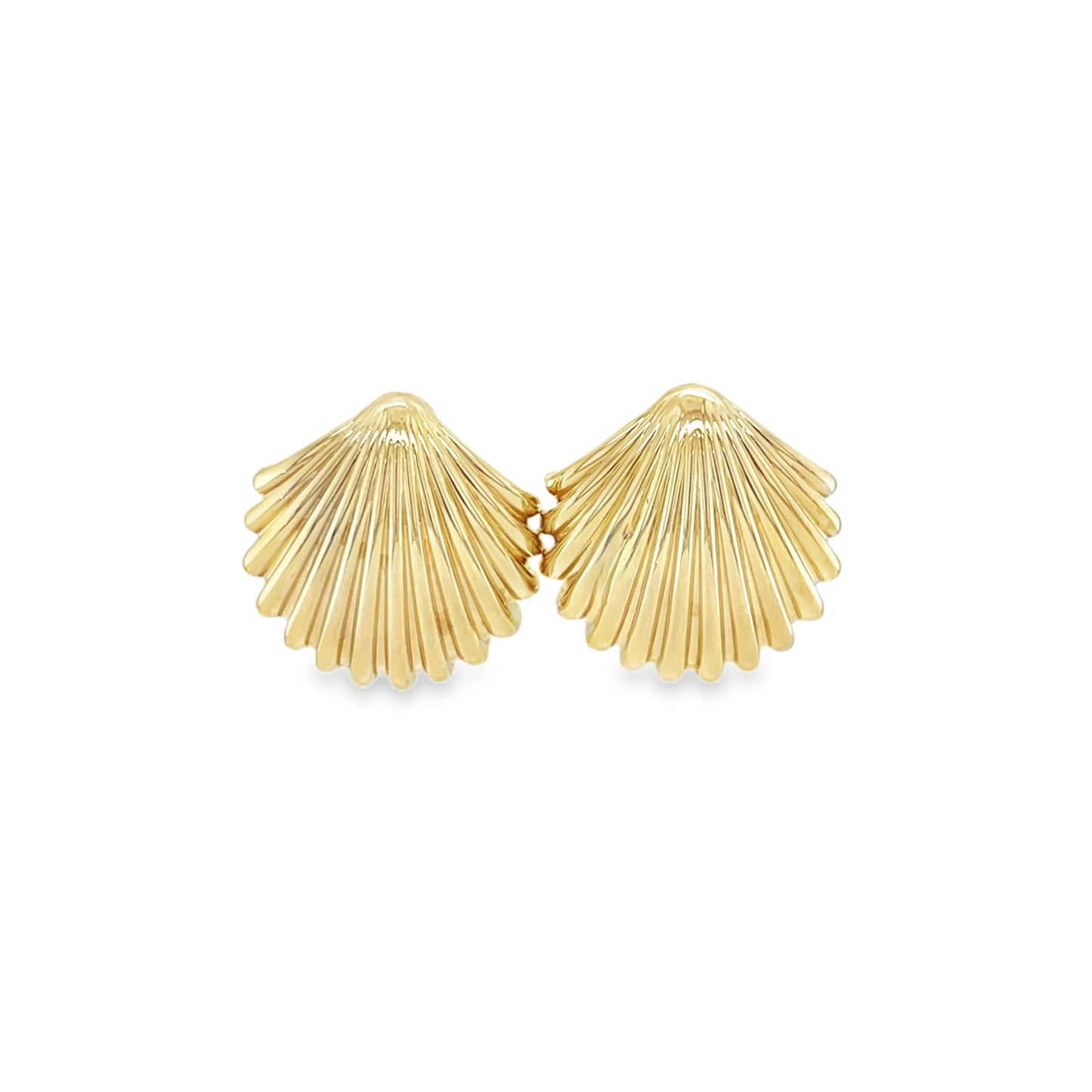 Jai's 14K Yellow Gold Large Seashell Studs