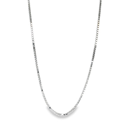 Jai's 14K White Gold Fine Box Chain