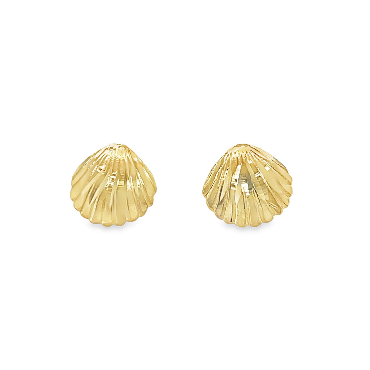 Jai's 14K Yellow Gold Seashell Studs