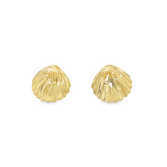 Jai's 14K Yellow Gold Seashell Studs