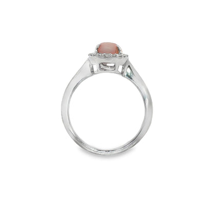 Jai's 14K White Gold Oval Conch Pearl & Diamond Ring