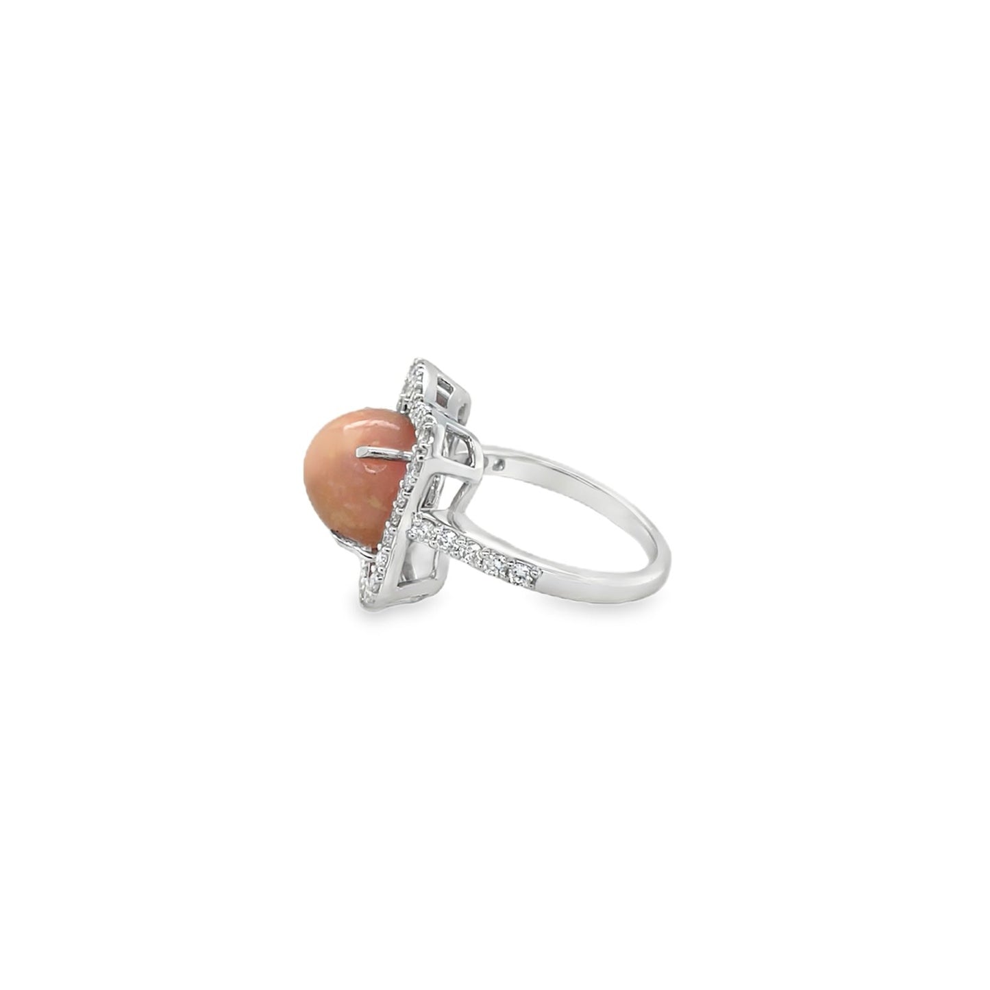 Jai's 14K White Gold Floral Conch Pearl & Diamond Ring