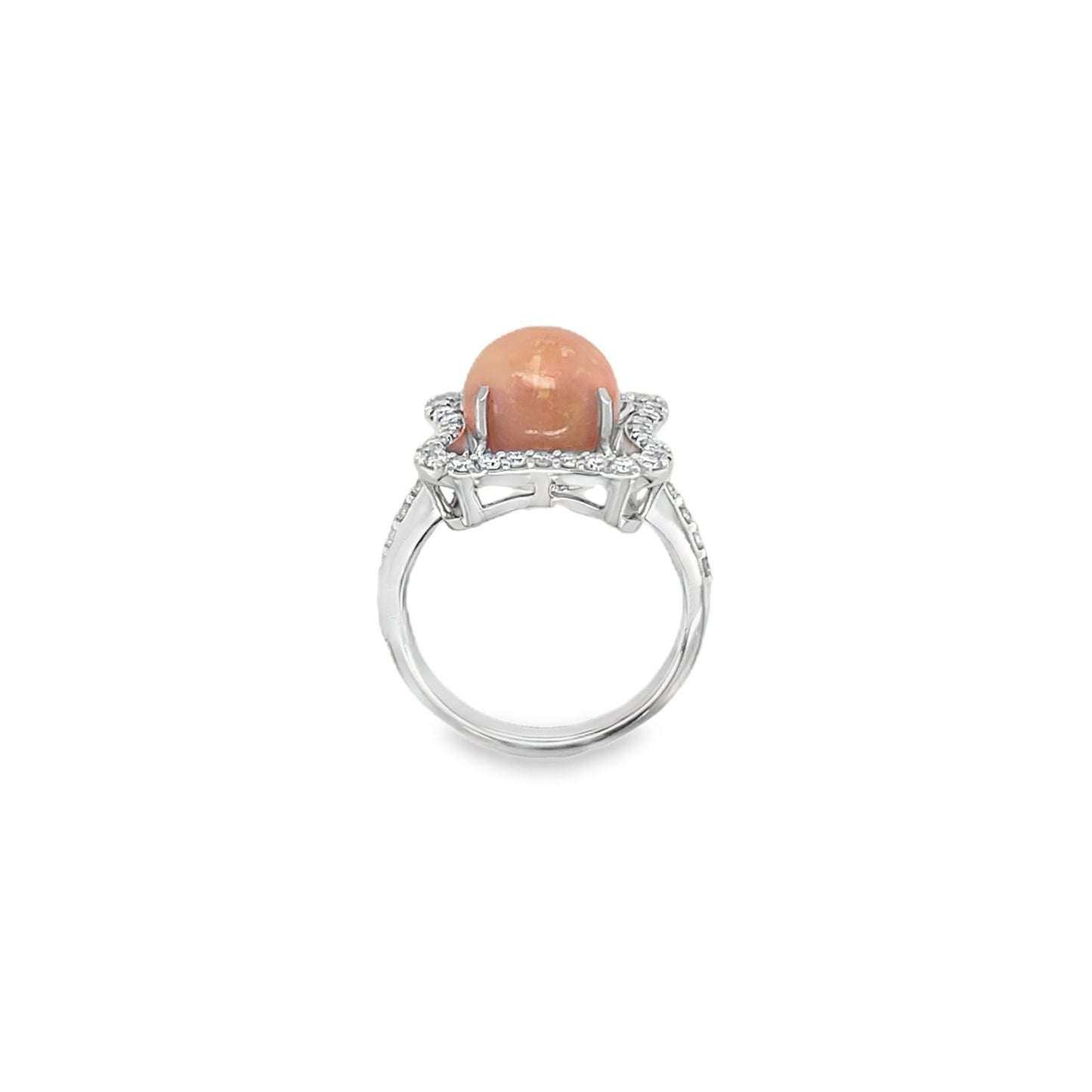 Jai's 14K White Gold Floral Conch Pearl & Diamond Ring