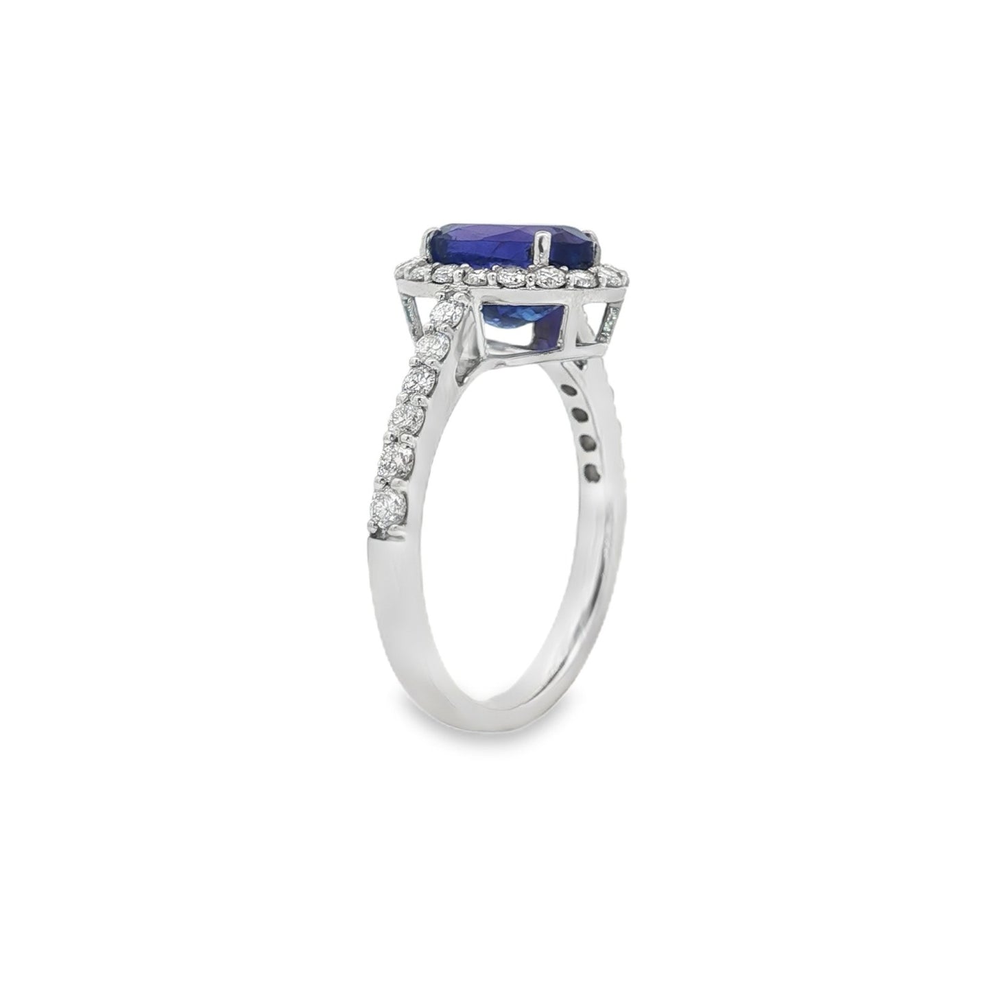 Jai's 14K White Gold Oval Tanzanite & Diamond-lined Ring