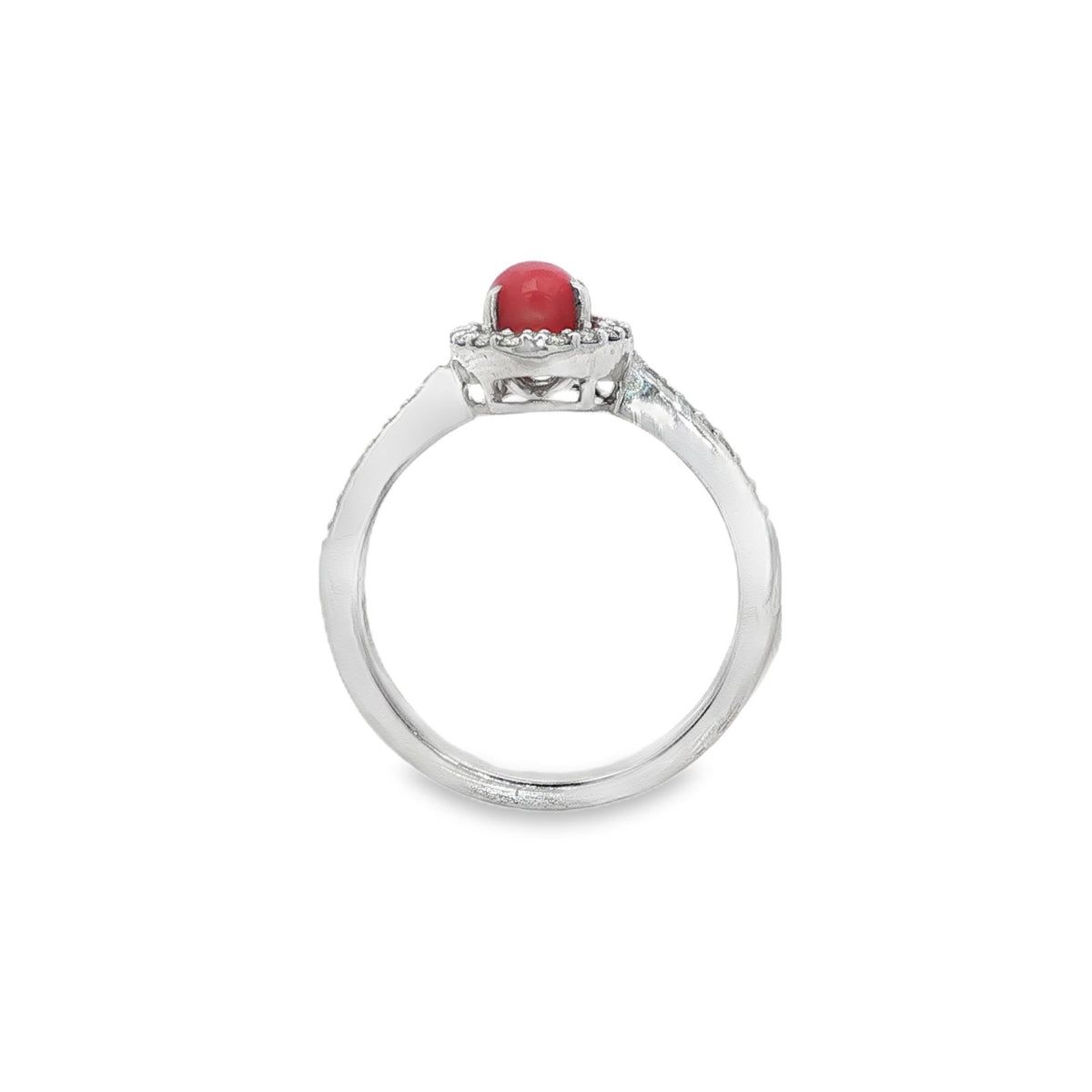 Jai's 14K White Gold Conch Pearl & Diamond Ring