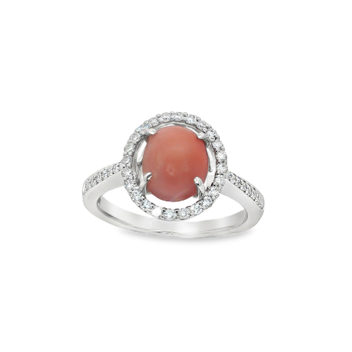 Jai's 14K White Gold Conch Pearl & Diamond Ring