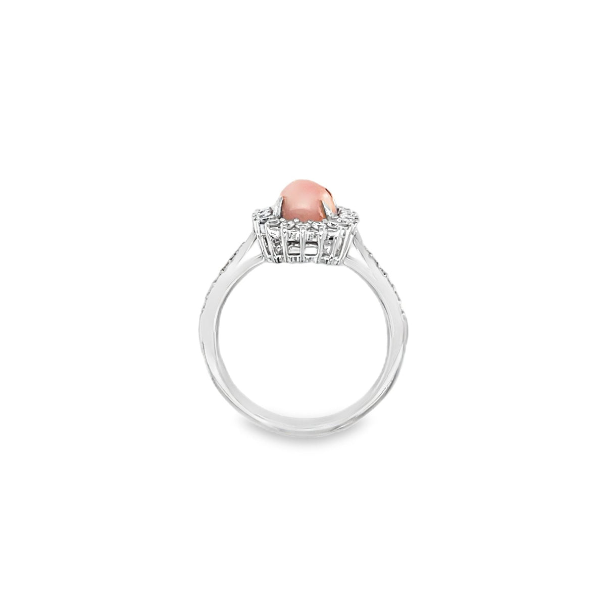 Jai's 14K White Gold Floral Conch Pearl & Diamond Ring