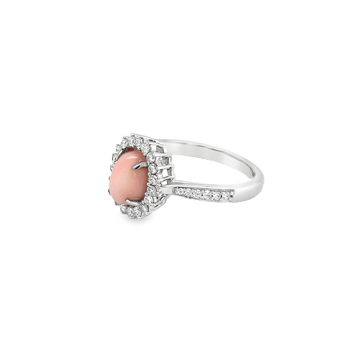 Jai's 14K White Gold Floral Conch Pearl & Diamond Ring