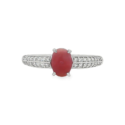 Jai's 14K White Gold Conch Pearl & Diamond Ring