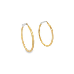 Jai's 14K Yellow Gold Medium Rounded Hoops