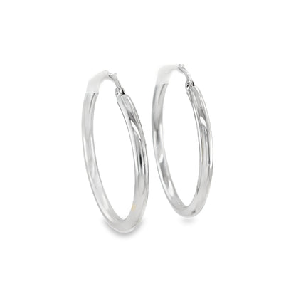 Jai's 14K White Gold Medium Rounded Hoops