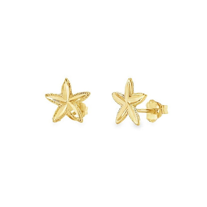 Jai's 14K Yellow Gold Starfish Studs