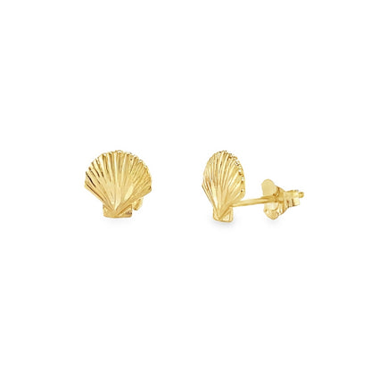 Jai's 14K Yellow Gold Seashell Studs