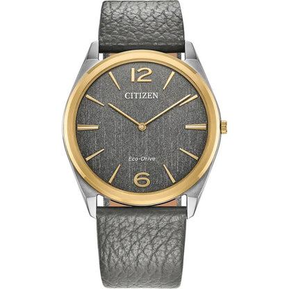 Citizen's Stiletto with Grey Dial