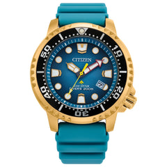 Citizen's Promaster Dive with Blue Dial
