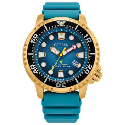 Citizen's Promaster Dive with Blue Dial