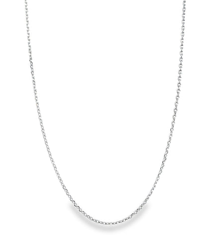 Jai's 14K White Gold Fine Cable Chain - 20"
