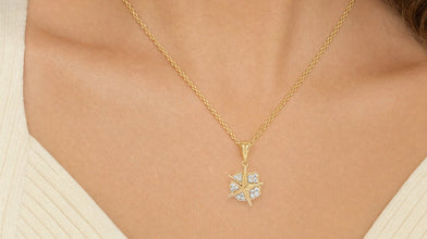 Sealife Collection