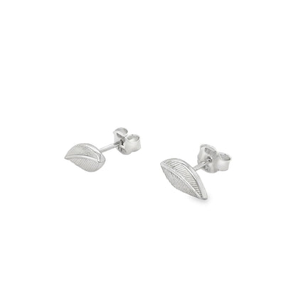 Jai's 14K White Gold Leaf Studs