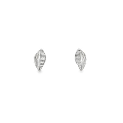 Jai's 14K White Gold Leaf Studs