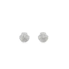 Jai's 14K White Gold Seashell Studs