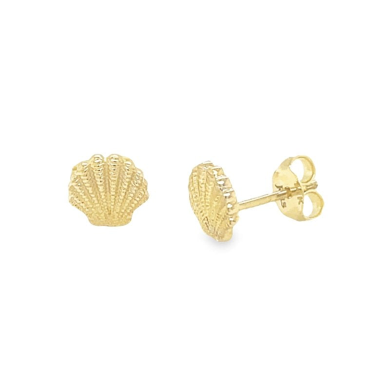 Jai's 14K Yellow Gold Seashell Studs
