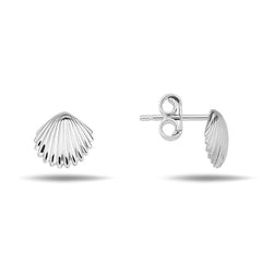 Jai's 14K White Gold Seashell Studs