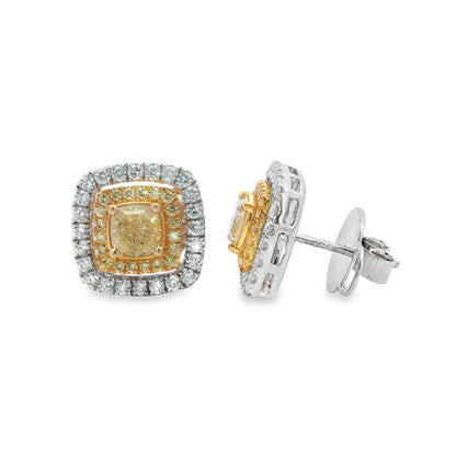 Jai's 18K Two-tone Yellow Diamond Studs