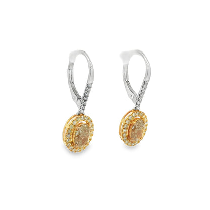 Jai's 18K Two-tone Oval-cut Yellow Diamond Drop Earrings