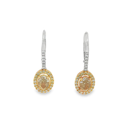 Jai's 18K Two-tone Oval-cut Yellow Diamond Drop Earrings