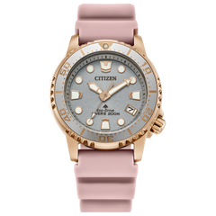 Citizen's Promaster Dive with Silver-tone Dial