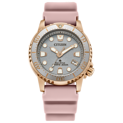 Citizen's Promaster Dive with Silver-tone Dial