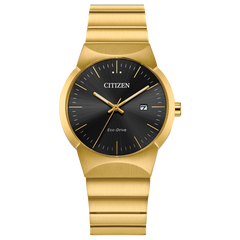 Citizen's Axiom with Black Dial