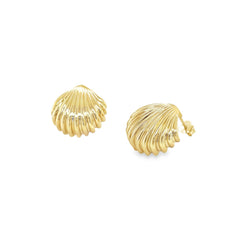 Jai's 14K Yellow Gold Large Seashell Studs