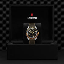 Black Bay GMT S&G