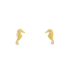 Jai's 14K Yellow Gold Baby Seahorse Studs