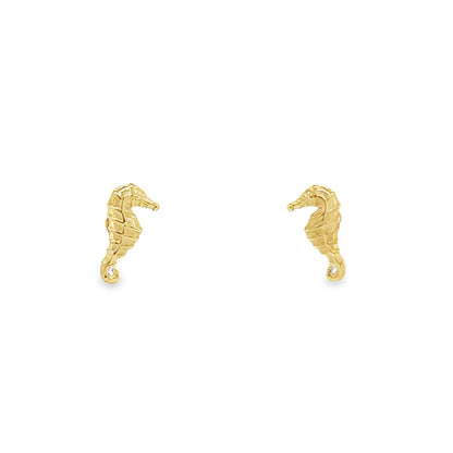Jai's 14K Yellow Gold Baby Seahorse Studs