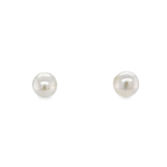Jai's 14K Yellow Gold 5MM Baby Pearl Studs
