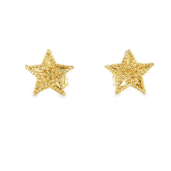 Jai's 14K Yellow Gold Three-dimensional Star Studs