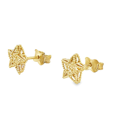Jai's 14K Yellow Gold Three-dimensional Star Studs