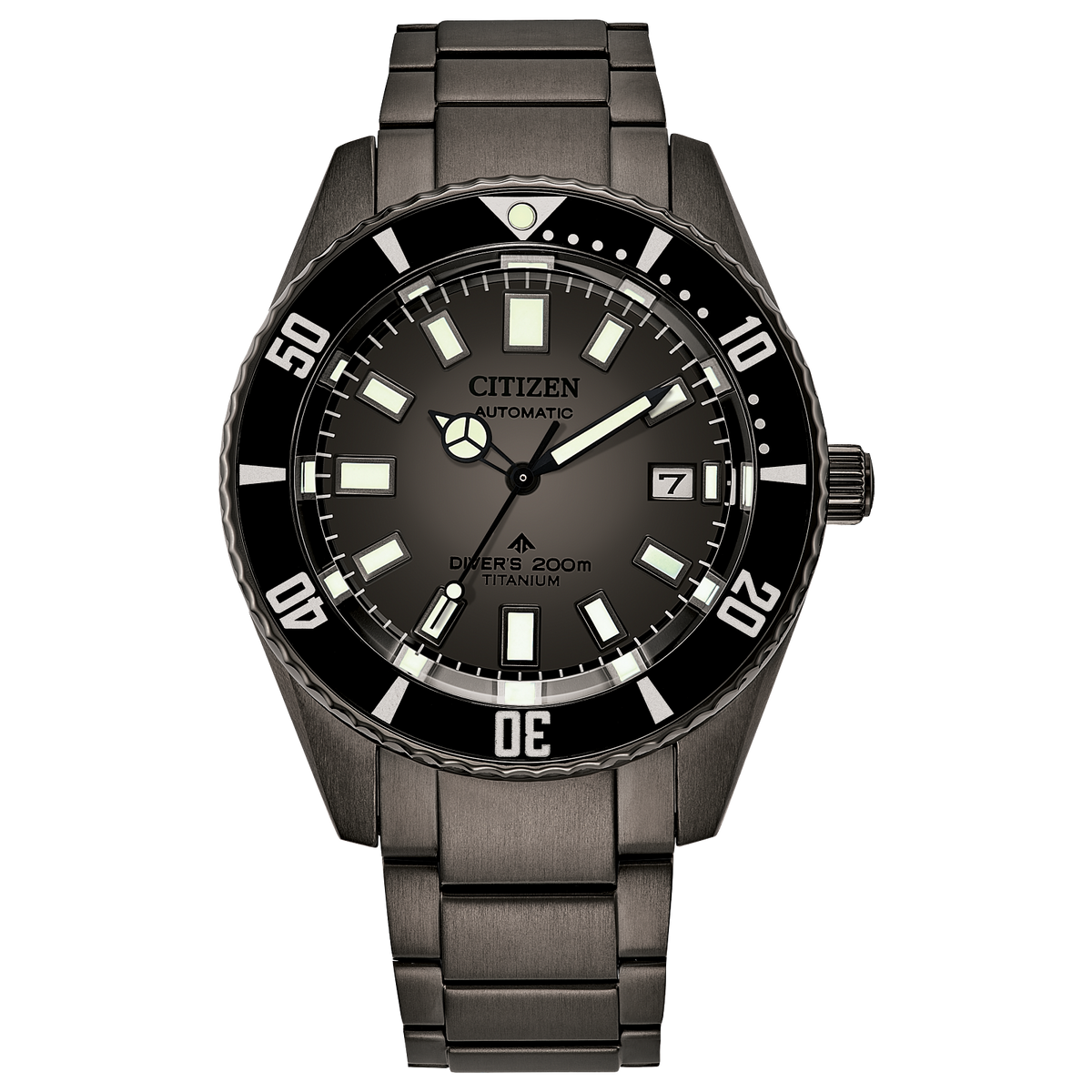 Citizen's Promaster Fujitsubo with Grey Dial