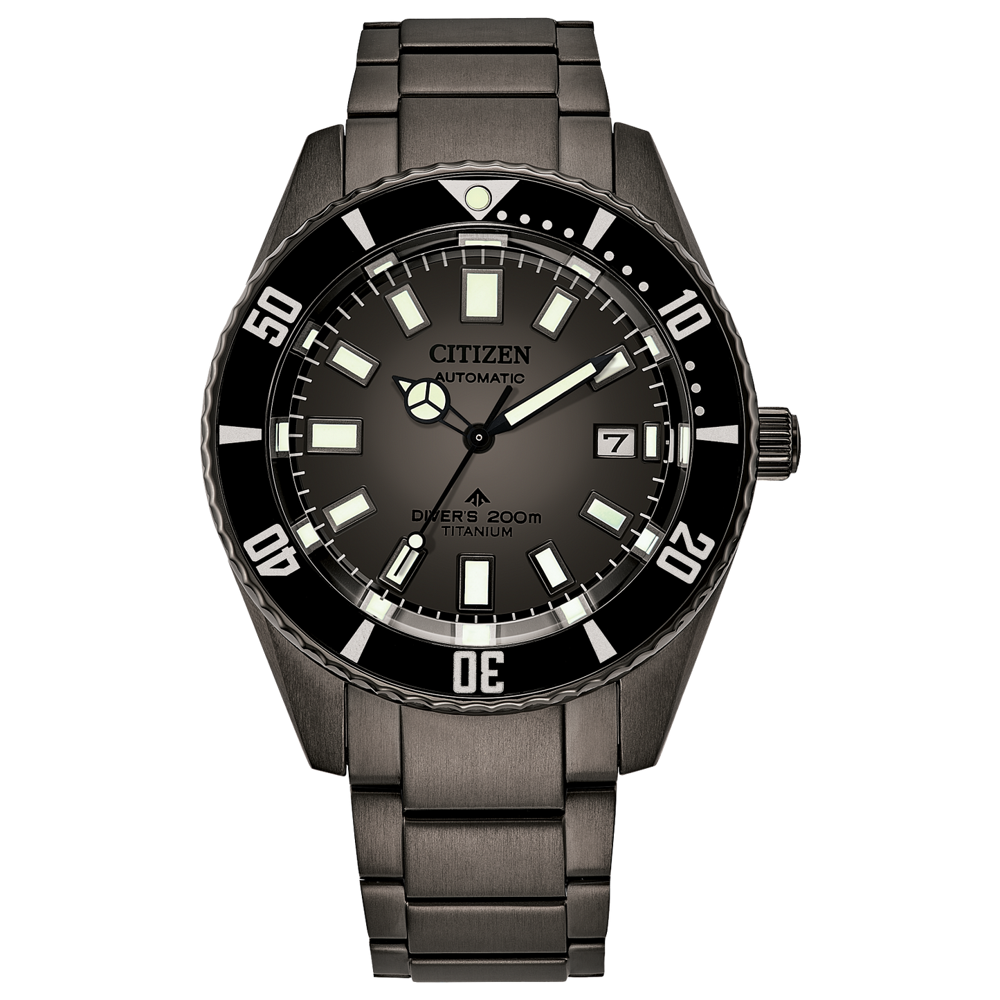 Citizen's Promaster Fujitsubo with Gray Dial