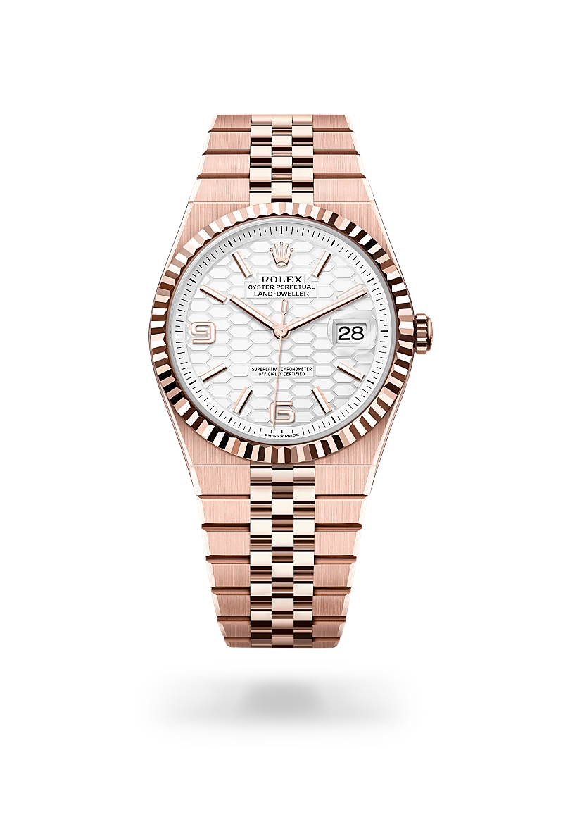 Rolex Land-Dweller in 18 kt Everose gold, M127335-0001 - Jai's Turks and Caicos
